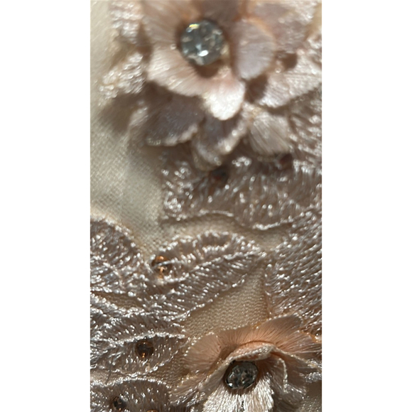 Basix Black Label Flutter Sleeve 3D Floral Peach Tulle Gown Size 12 - Picture 7 of 15